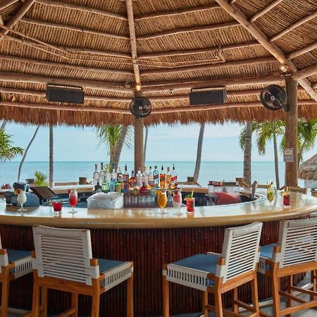 Cheeca Lodge & Spa Islamorada Exteriör bild The Beach Bar