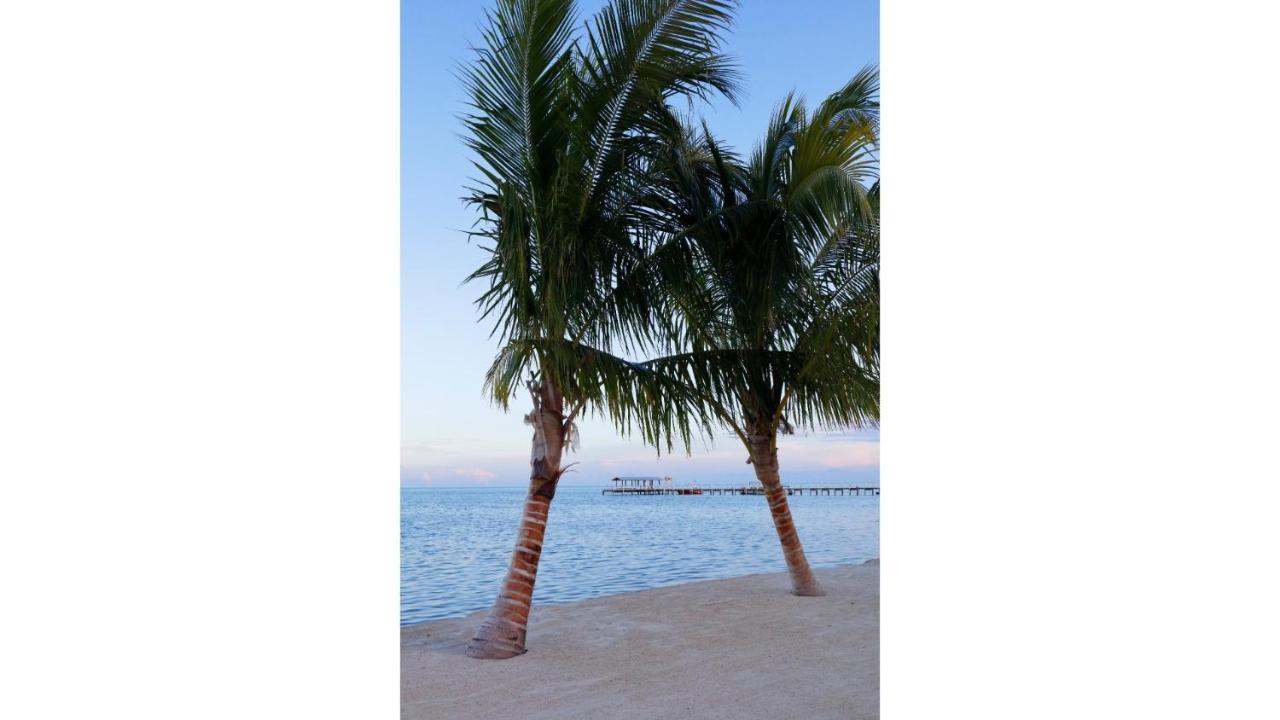 Cheeca Lodge & Spa Islamorada Exteriör bild Palm trees on the beach at the Grand Hotel