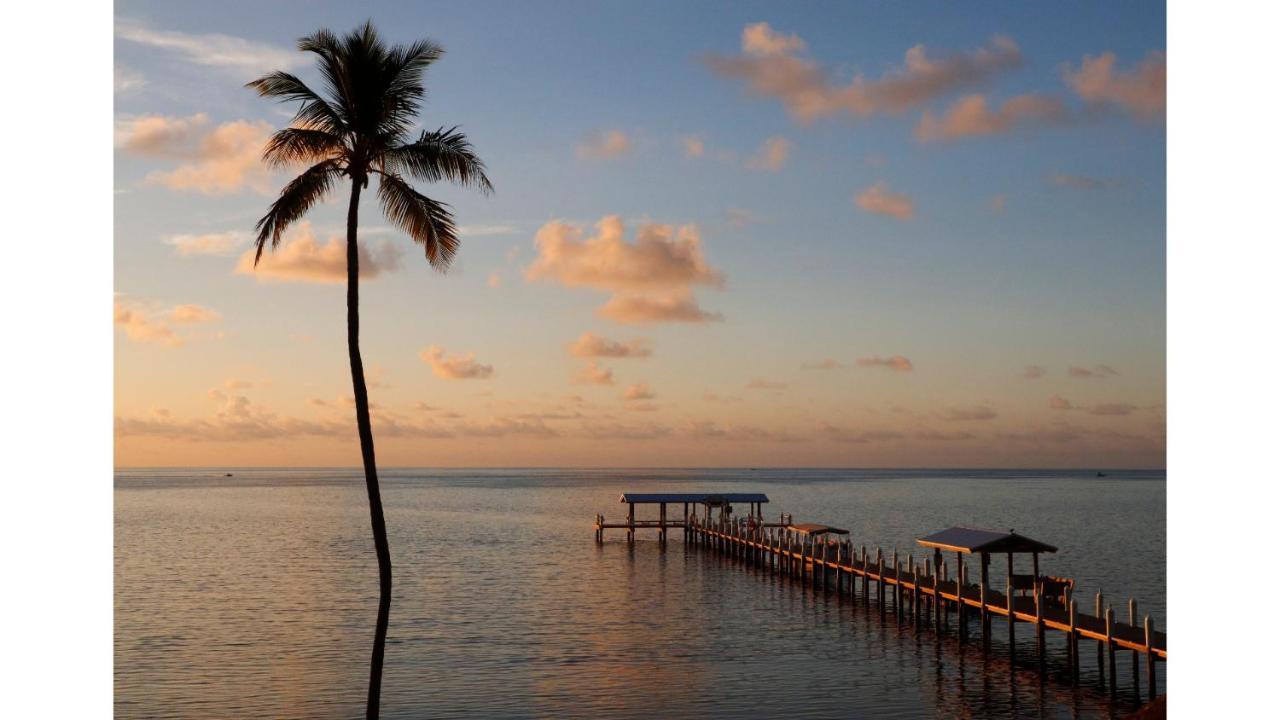 Cheeca Lodge & Spa Islamorada Exteriör bild Sunset at the pier